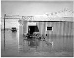 flood mar 73